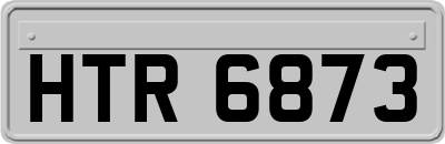 HTR6873