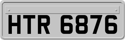 HTR6876