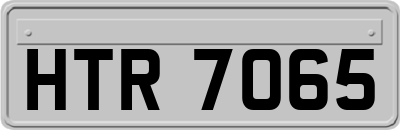 HTR7065