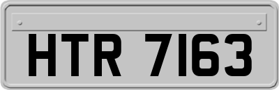 HTR7163