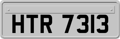 HTR7313