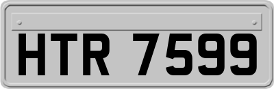 HTR7599
