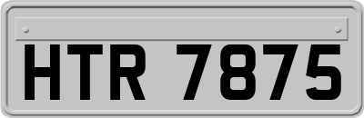 HTR7875