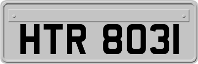HTR8031