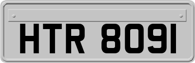 HTR8091