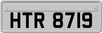 HTR8719