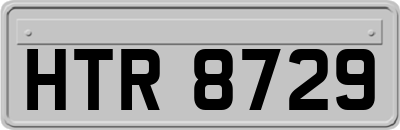 HTR8729