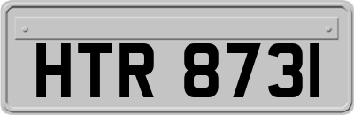 HTR8731
