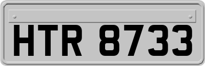 HTR8733
