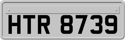 HTR8739