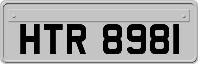 HTR8981
