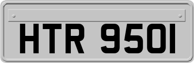HTR9501