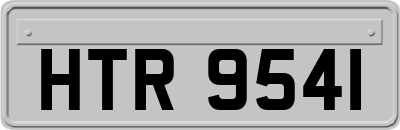 HTR9541