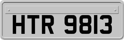 HTR9813