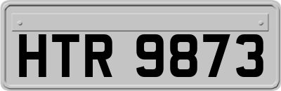 HTR9873
