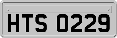 HTS0229
