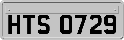 HTS0729