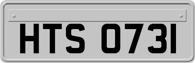HTS0731