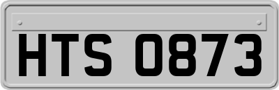 HTS0873