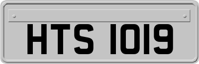 HTS1019
