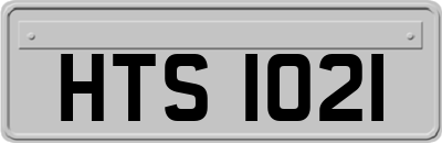HTS1021