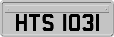 HTS1031