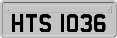 HTS1036