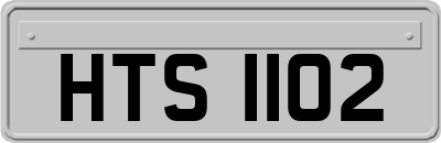 HTS1102