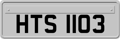 HTS1103