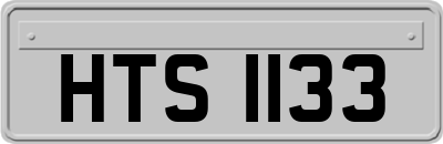 HTS1133