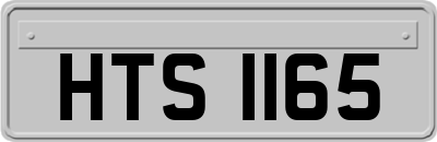 HTS1165