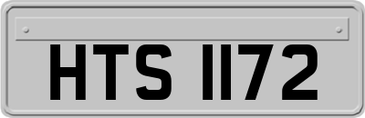 HTS1172