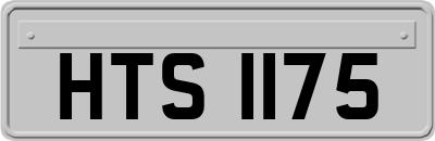 HTS1175