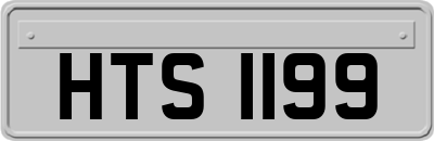 HTS1199