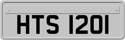 HTS1201
