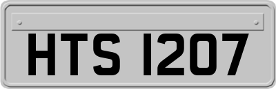 HTS1207