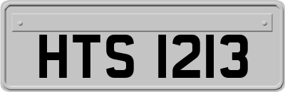 HTS1213