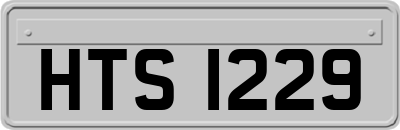HTS1229
