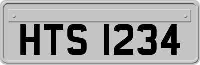HTS1234