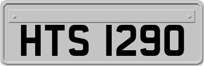 HTS1290
