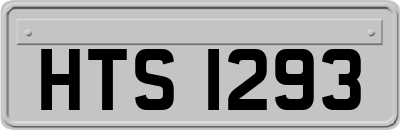 HTS1293