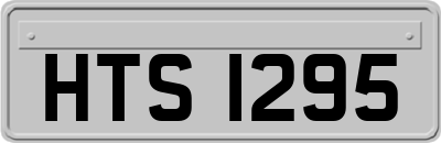 HTS1295