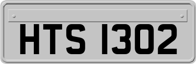 HTS1302