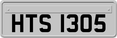 HTS1305