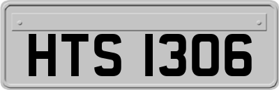 HTS1306