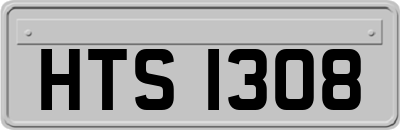 HTS1308