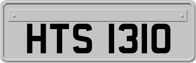 HTS1310