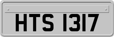 HTS1317