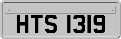 HTS1319