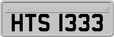 HTS1333